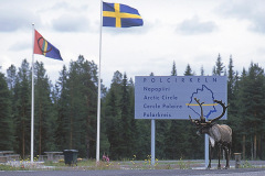 Ren på Polcirkeln © Kvikkjokksfotografen Tor Tuorda