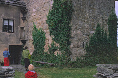 Murgröna på hus på Gotland © Kvikkjokksfotografen Tor Tuorda