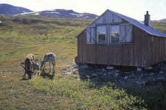 Renvaktarstuga i Ruopsok, Sarek © Kvikkjokksfotografen Tor Tuorda