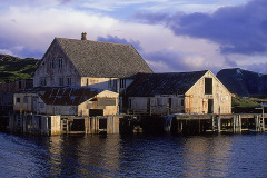 Röst på Lofoten © Kvikkjokksfotografen Tor Tuorda