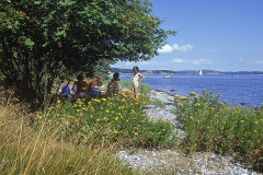 På västkuststrand © Kvikkjokksfotografen Tor Tuorda