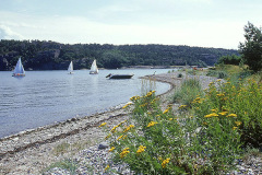 Strand i Koljöfjorden på Västkusten © Kvikkjokksfotografen Tor Tuorda