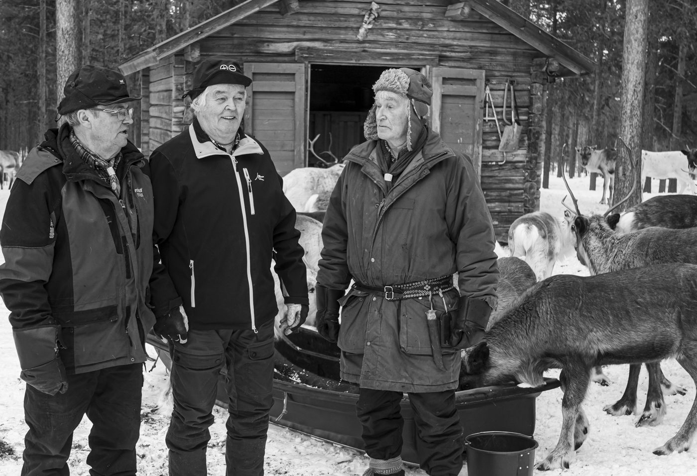 Anders Sunnas brutala berättelse på Moderna museet. Bröderna Bo (Anders far), Herbert och Lars-Göran fotograferade vid sin renhjord i Kieksiäisvaara vid Pajala.