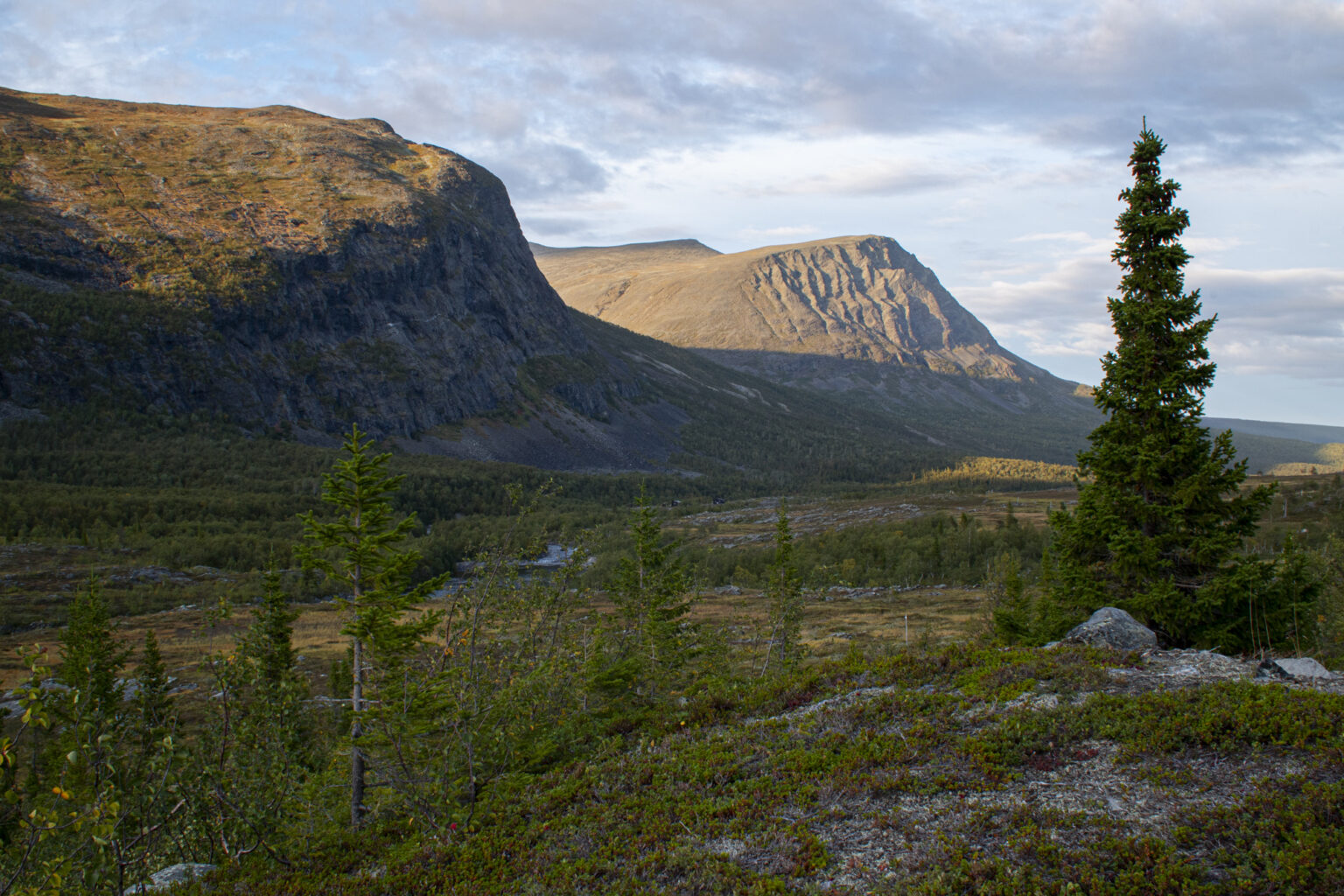 Upptäck Tor Tuordas motiv från Kvikkjokk. 
Bilden: Fjäll vid Kvikkjokk. Njunjesvárre och Gaskkájvvvo i nedre delen av Darrevuobme, Tarradalen. 