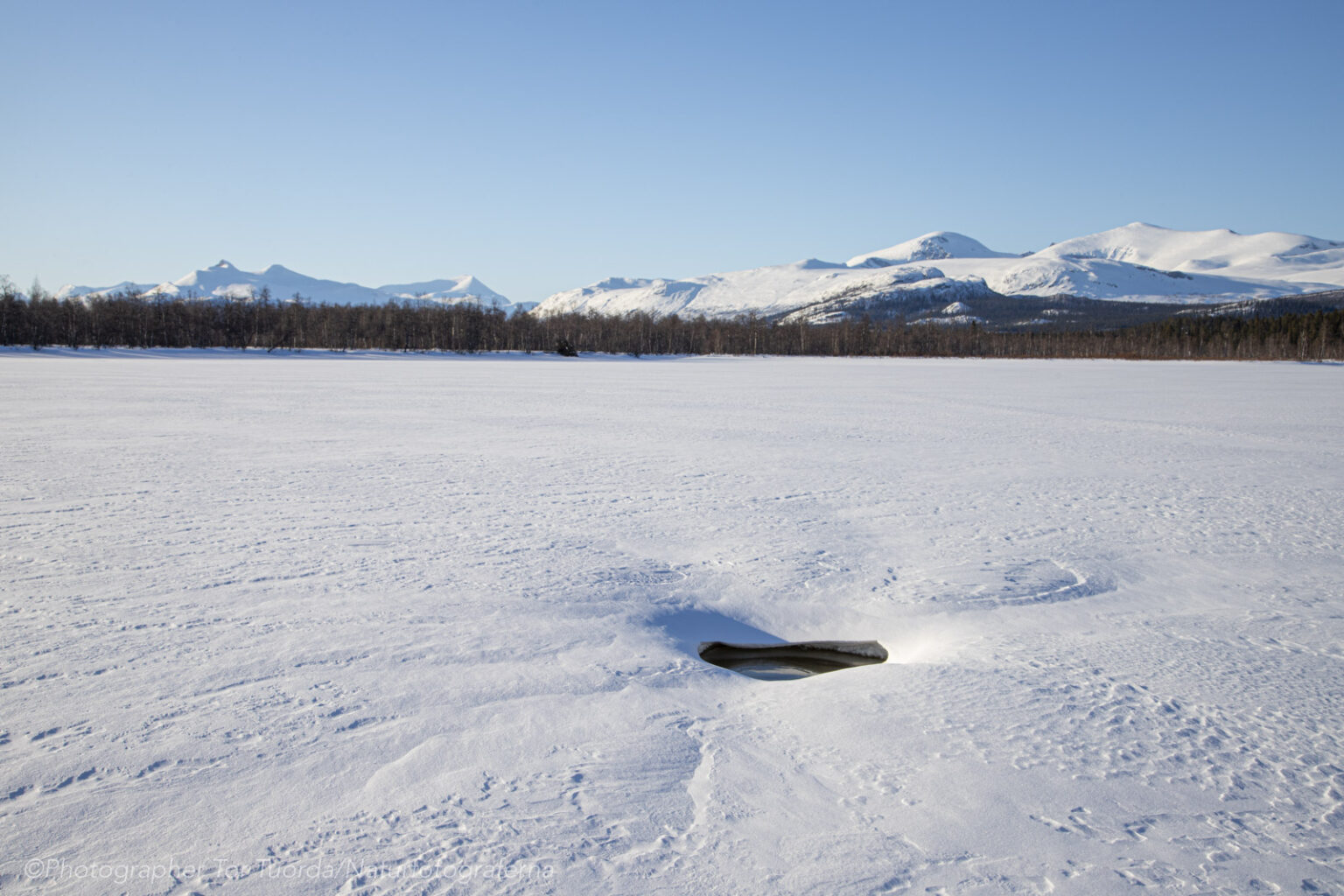 Aprilbilder från fjällnära skog norranför Kvikkjokk.