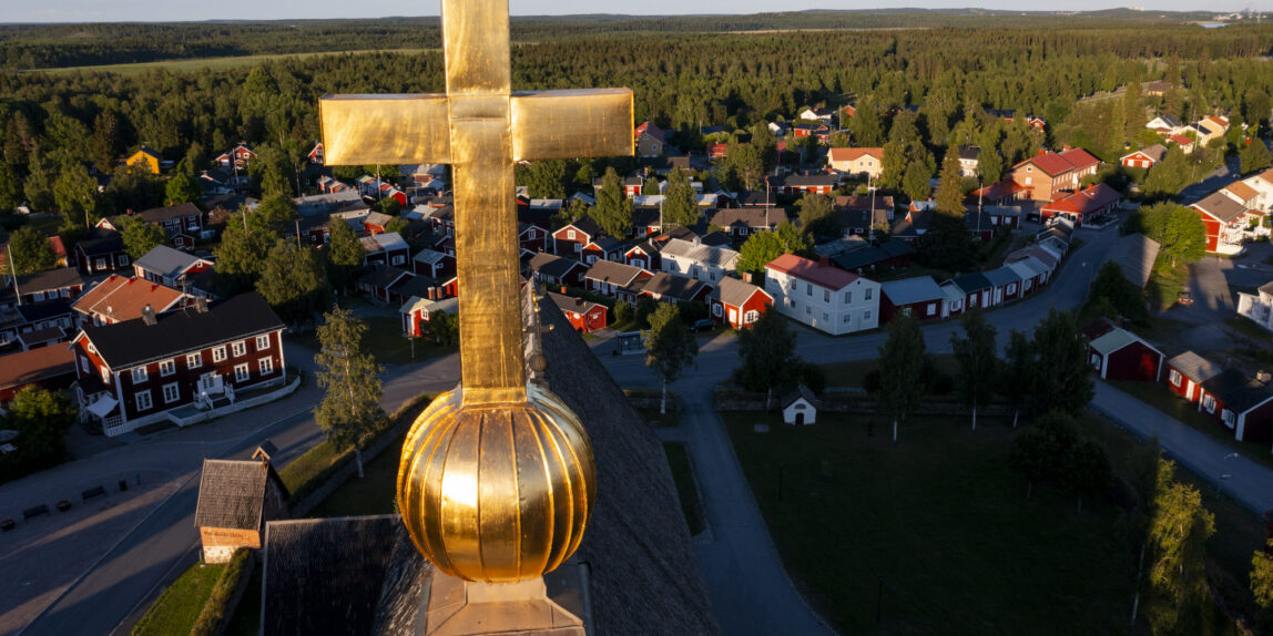 Blek utredning om kyrkans skogsbruk