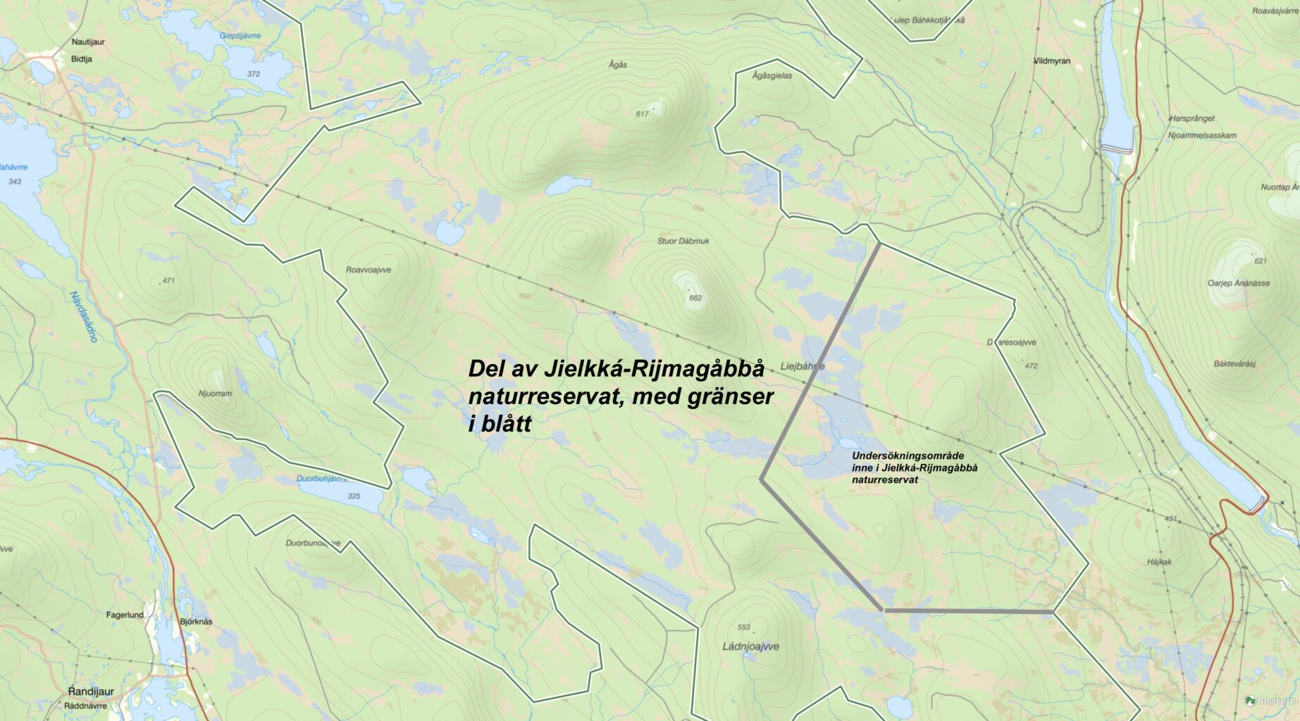 Mineralundersökning i Jielkká-Rijmagåbbå naturreservat