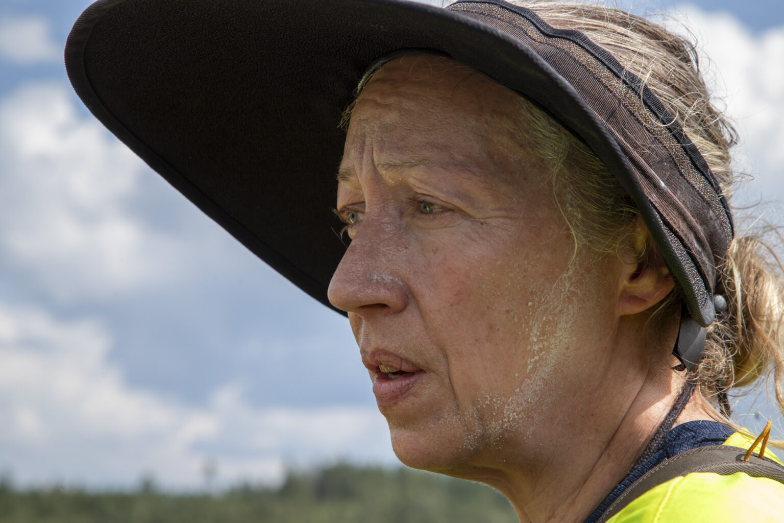 Återställ Våtmarker