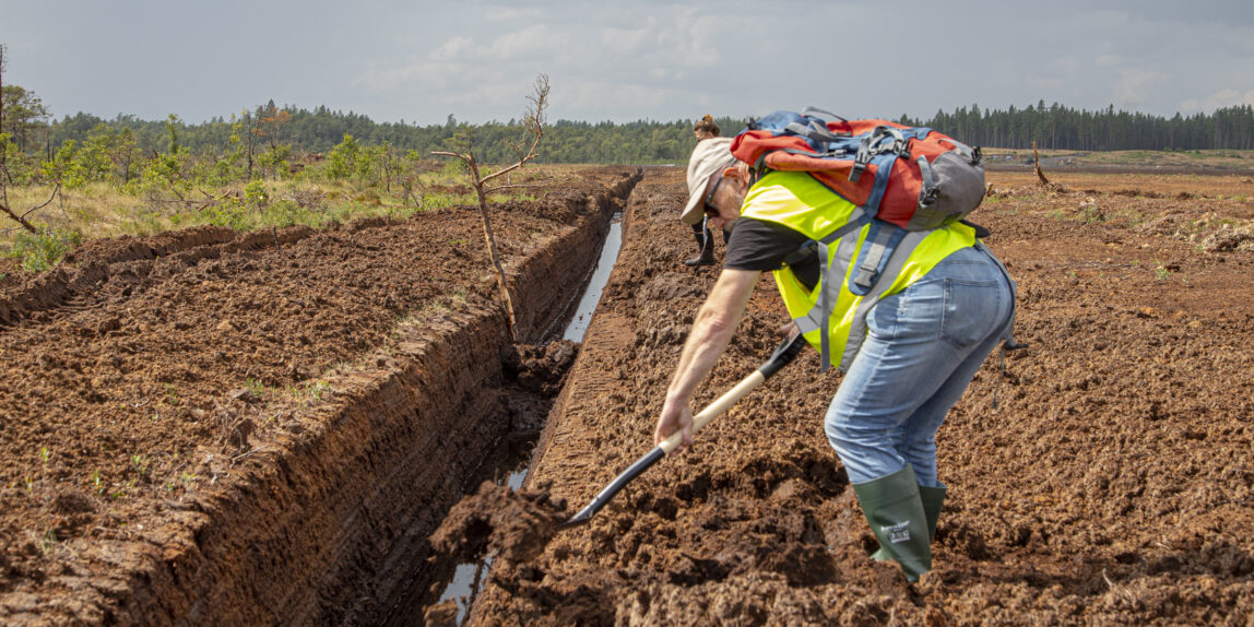 Återställ Våtmarker