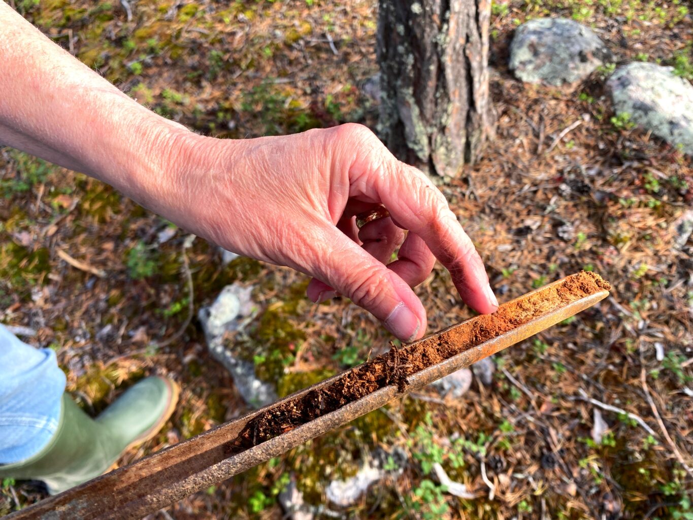 Arkeologi på Tjäruborgarens land