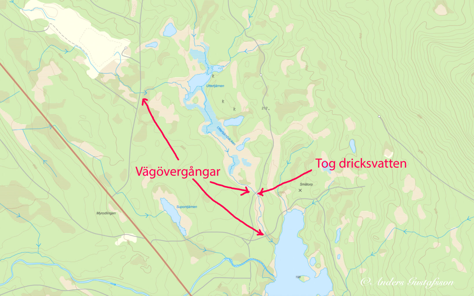 Turister dricker förgiftat vatten