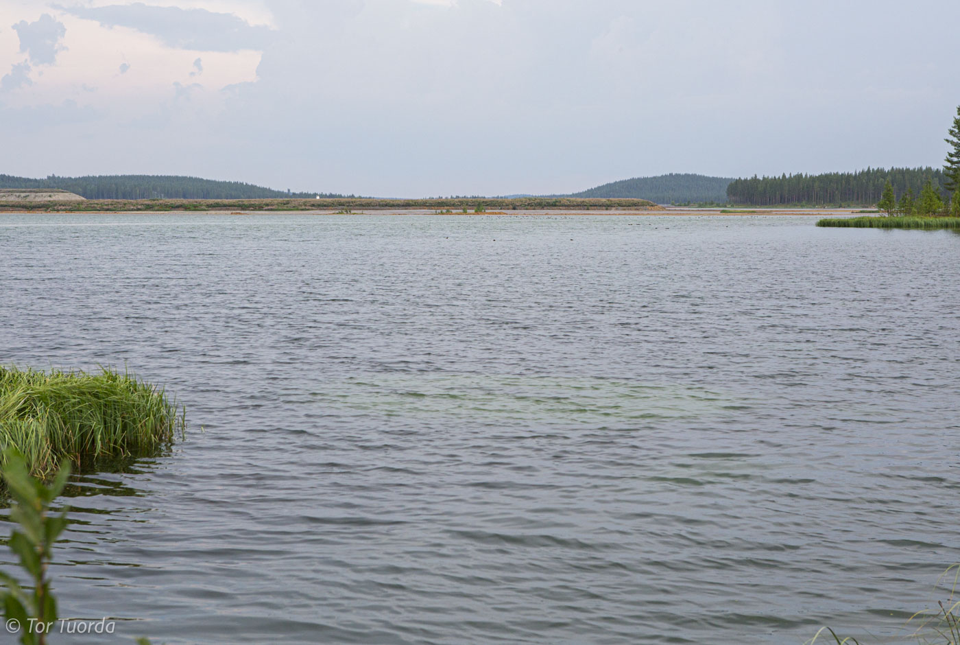 Turister dricker förgiftat vatten
