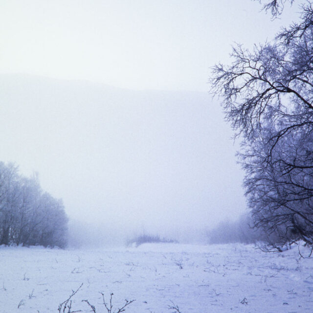 Jag vet ingen som skulle ta en sån bild