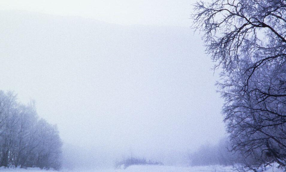 Jag vet ingen som skulle ta en sån bild