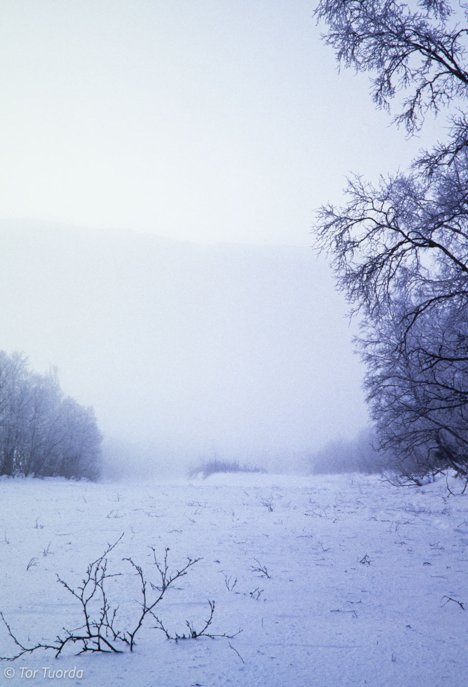 Jag vet ingen som skulle ta en sån bild