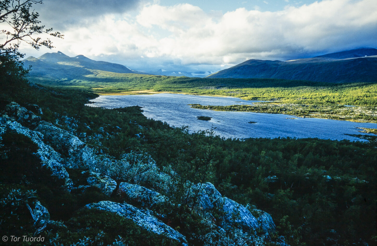 20 år med Beowulf Mining
