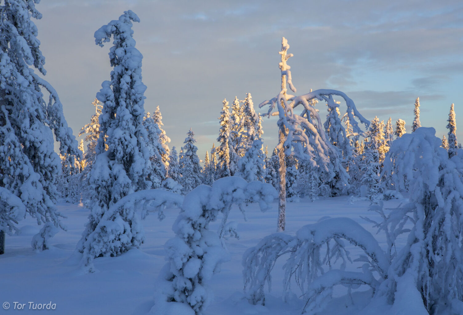 Drömmen om ett dokumentationsprojekt