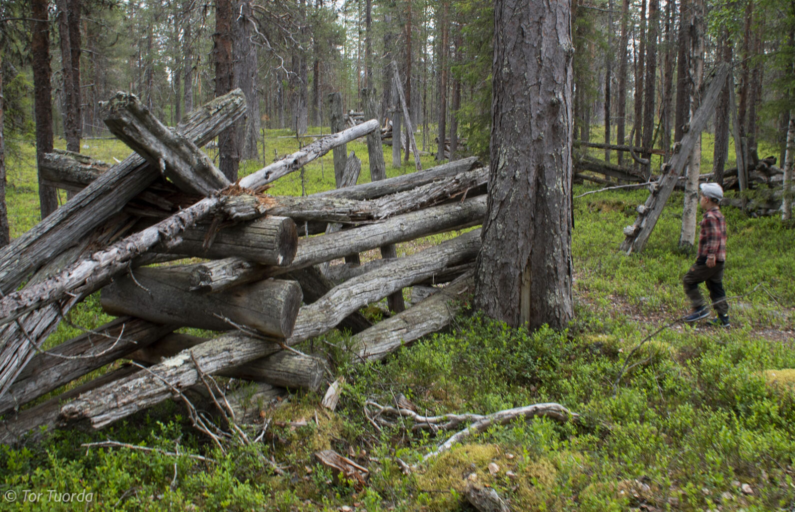 Drömmen om ett dokumentationsprojekt