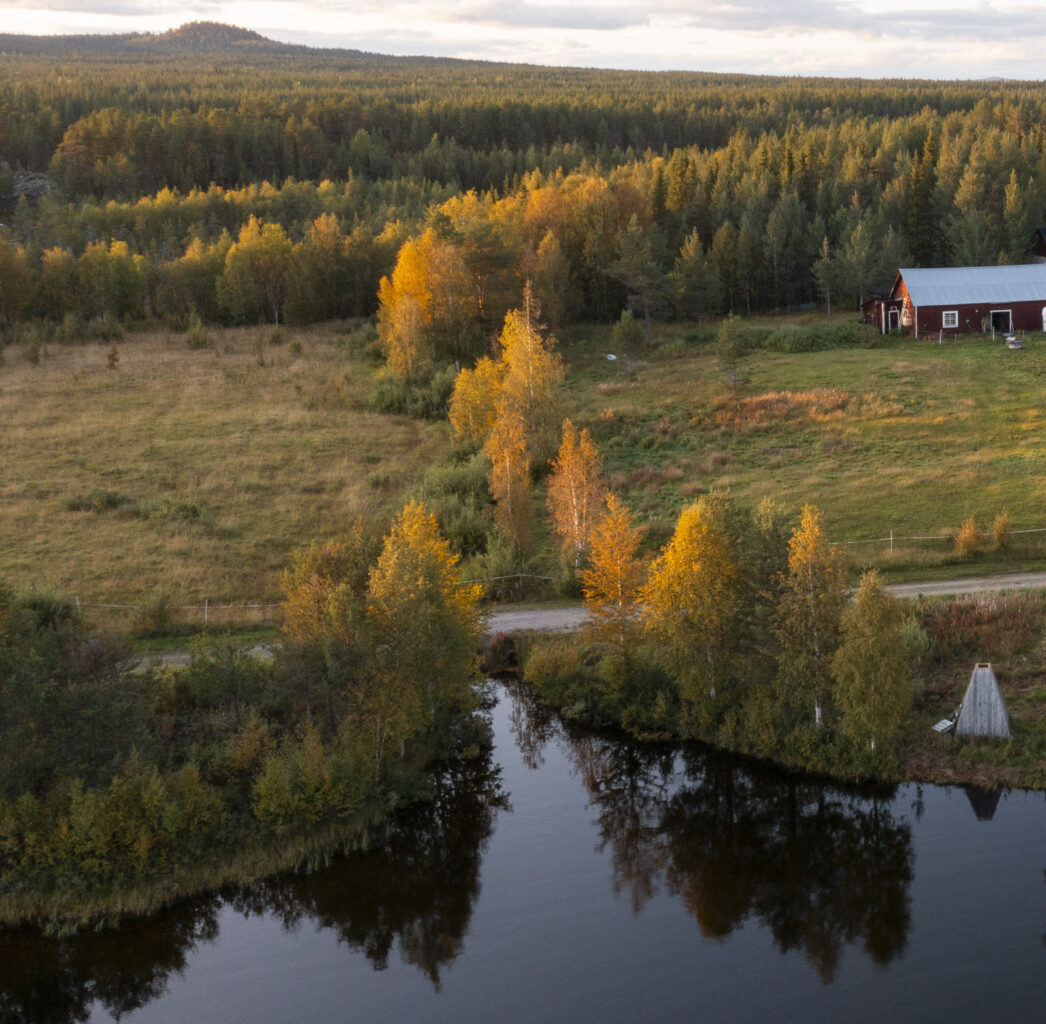 Närodlad mat som civilförsvar