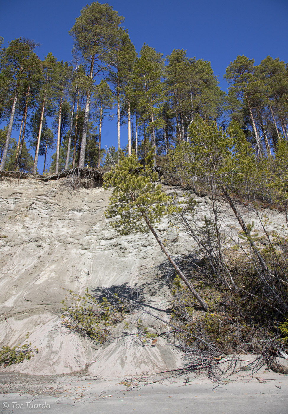 Vattenfalls erosion i Lilla Lule älv är brutal
