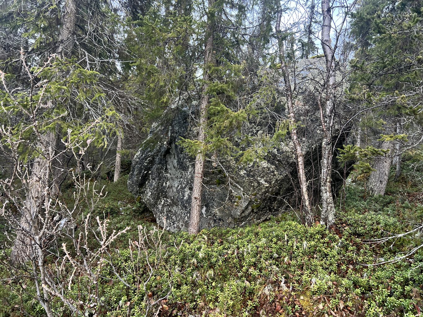 Barndomens fruktade natur