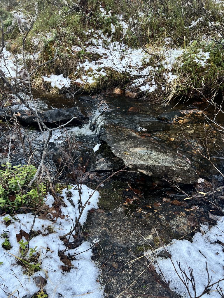 Barndomens fruktade natur